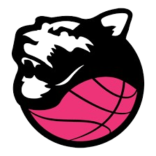 Umana Reyer Venezia Women