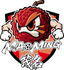 Zhanjiang Team